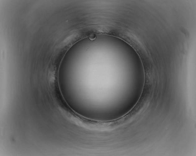 X0000115810032200911131429