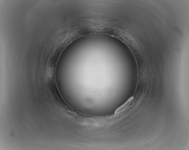 X0000115810033200911131429