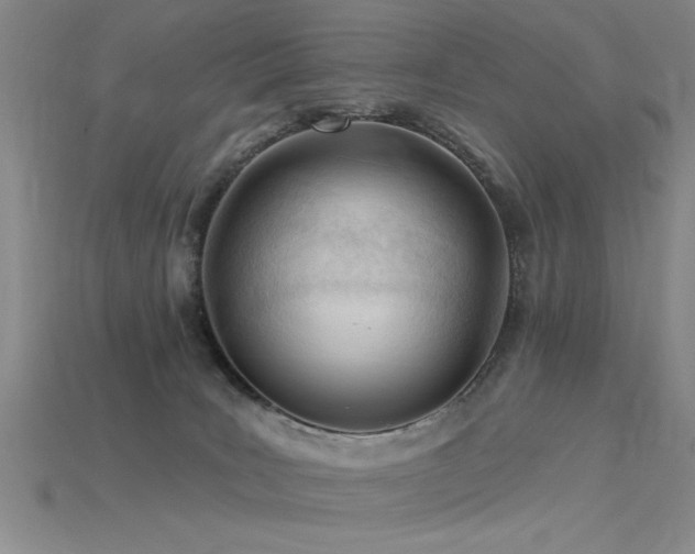 X0000115810035200911131429