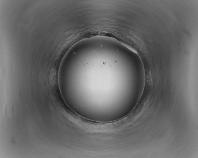 X0000115810036200911131429