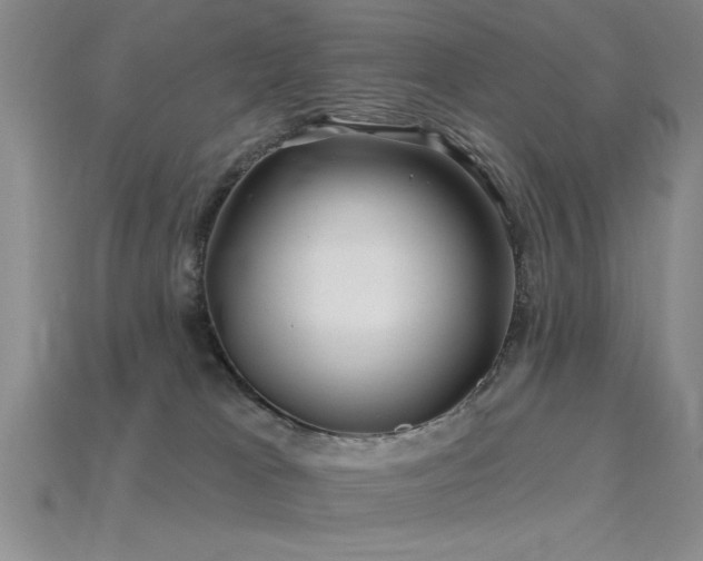 X0000115810037200911131429