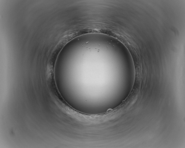 X0000115810038200911131429