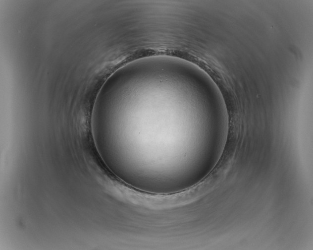 X0000115810039200911131429