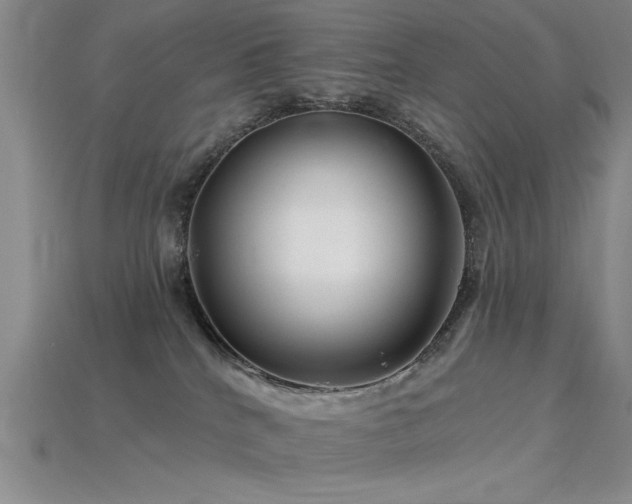 X0000115810040200911131429