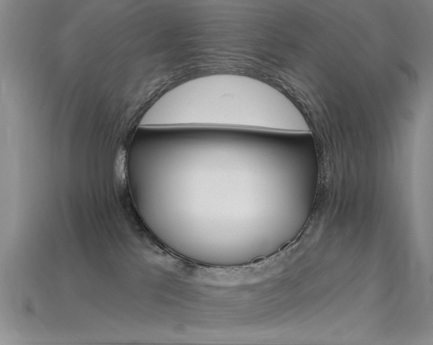 X0000115810041200911131429