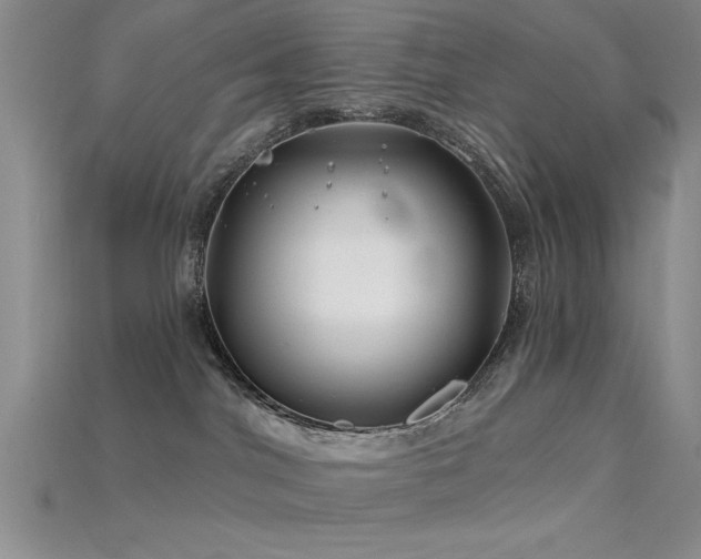 X0000115810044200911131429