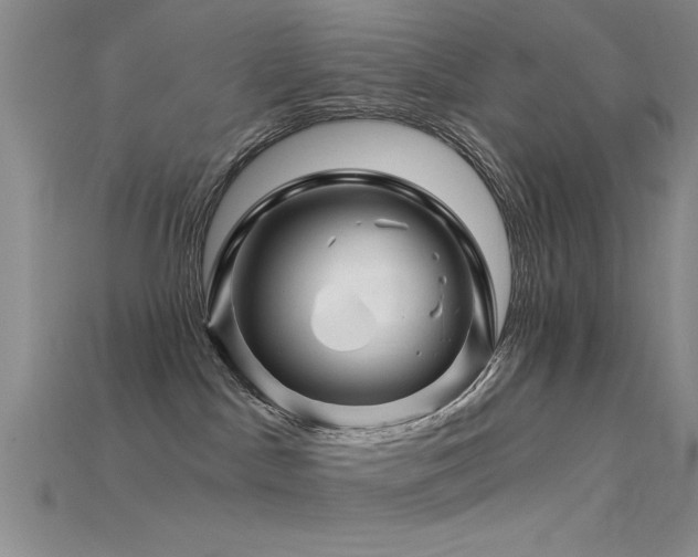 X0000115810045200911131429