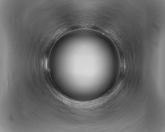 X0000115810046200911131429