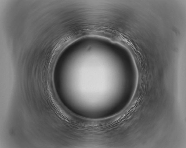 X0000115810049200911131428