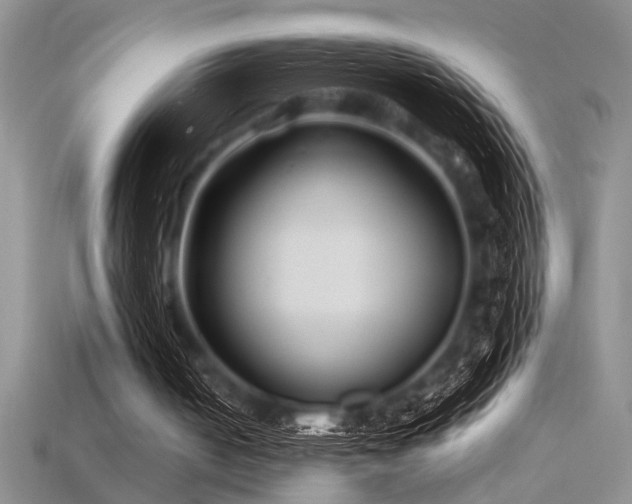 X0000115810050200911131428