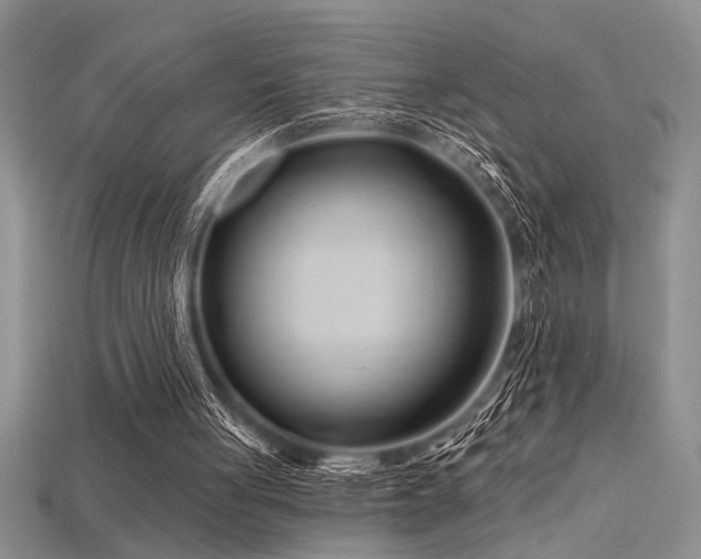 X0000115810051200911131428