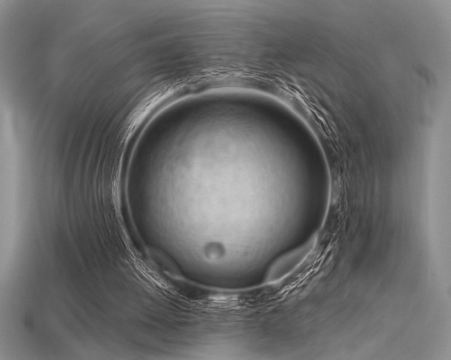 X0000115810052200911131428