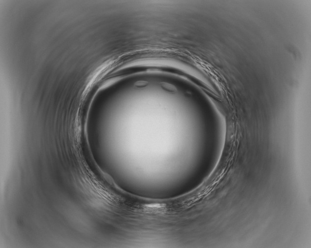 X0000115810053200911131428