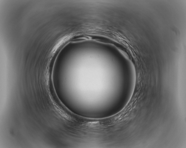 X0000115810054200911131429