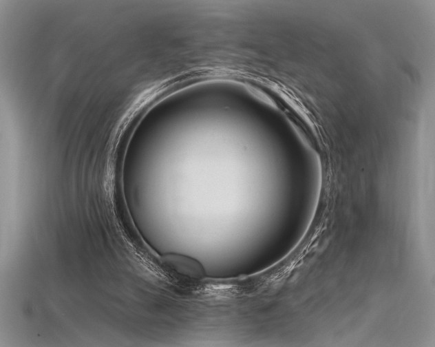 X0000115810055200911131429