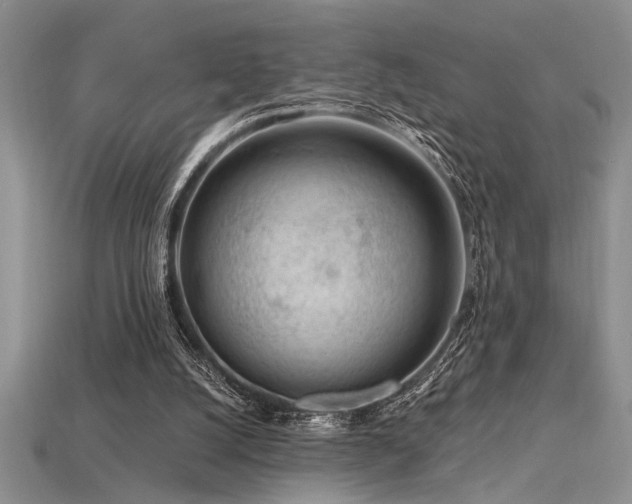 X0000115810056200911131429