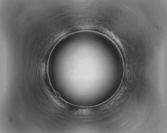 X0000115810057200911131429