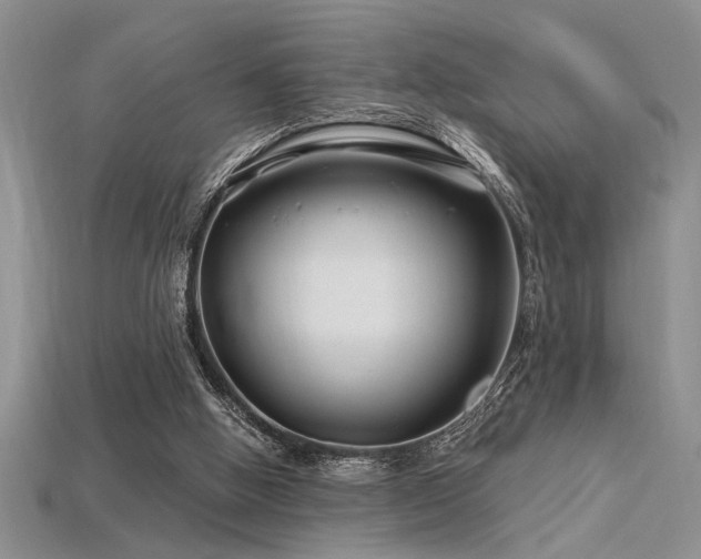 X0000115810058200911131429