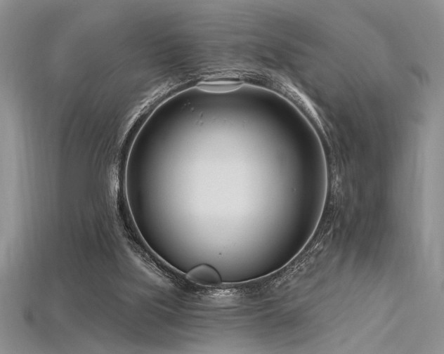 X0000115810059200911131429