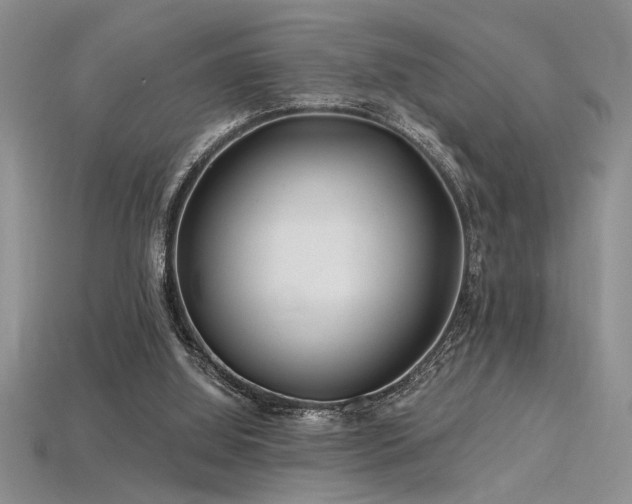 X0000115810060200911131429