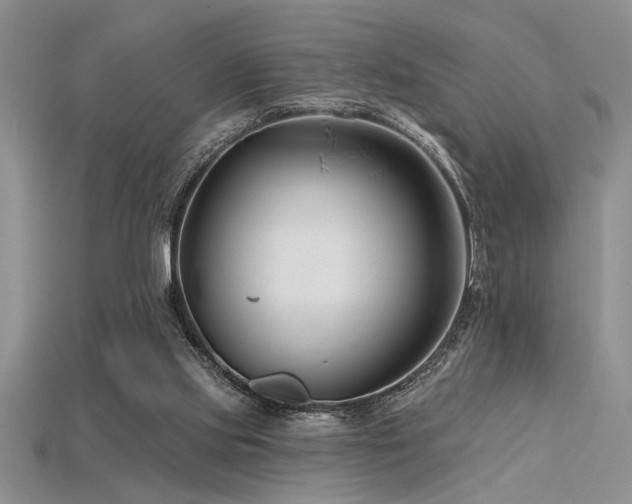 X0000115810061200911131429
