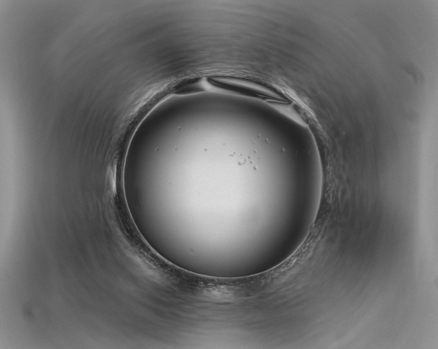 X0000115810062200911131429