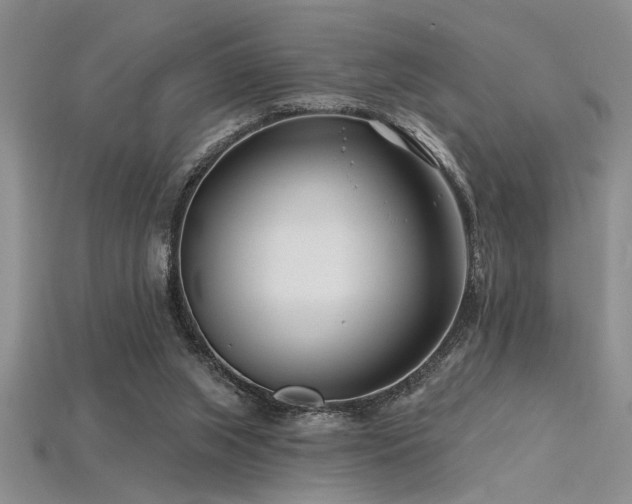 X0000115810063200911131429