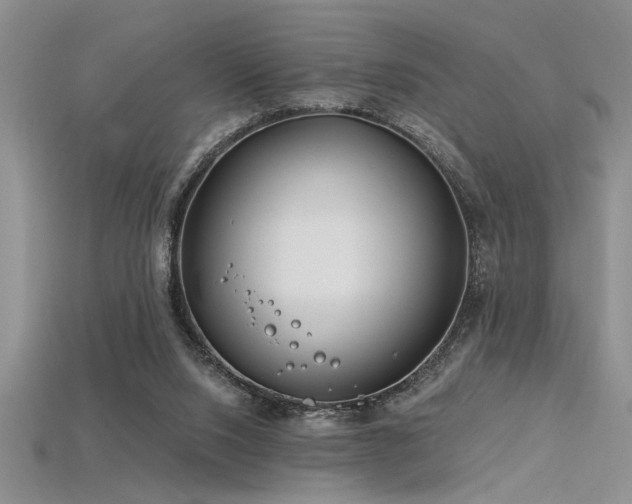 X0000115810064200911131429
