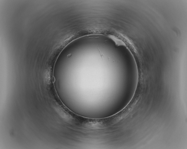 X0000115810065200911131429