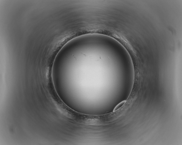 X0000115810066200911131429