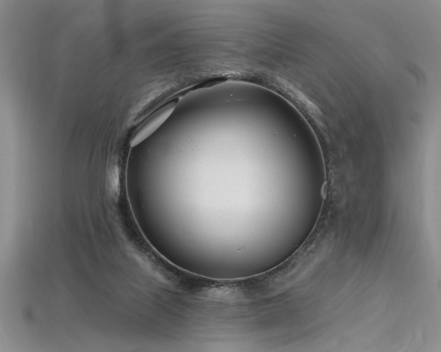 X0000115810067200911131429