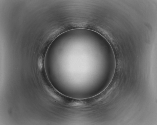 X0000115810069200911131429