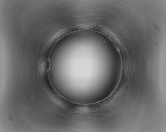 X0000115810071200911131429