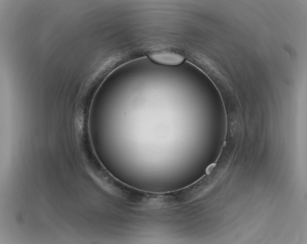 X0000115810072200911131429