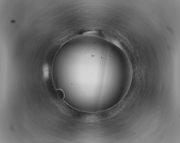 X0000115810075200911131429