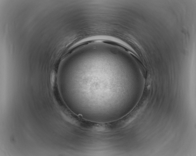 X0000115810076200911131429