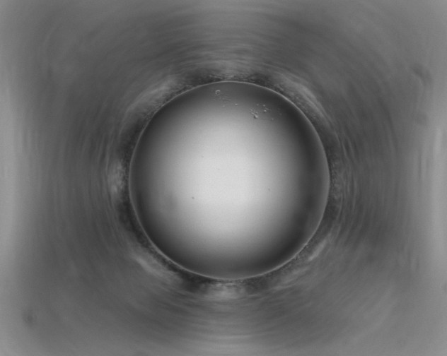X0000115810077200911131429