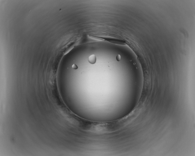 X0000115810078200911131429