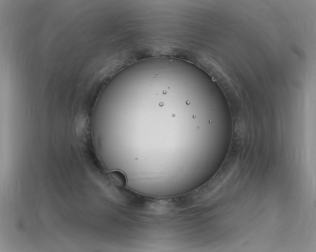X0000115810079200911131429
