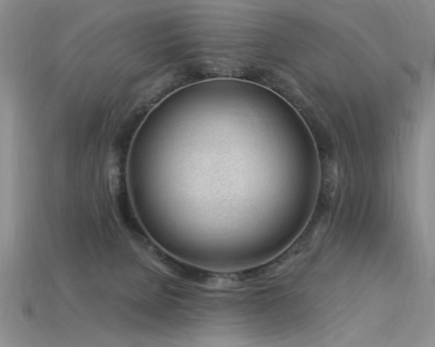 X0000115810080200911131429