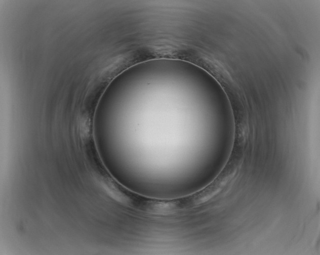 X0000115810081200911131429