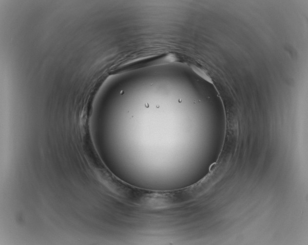 X0000115810082200911131429