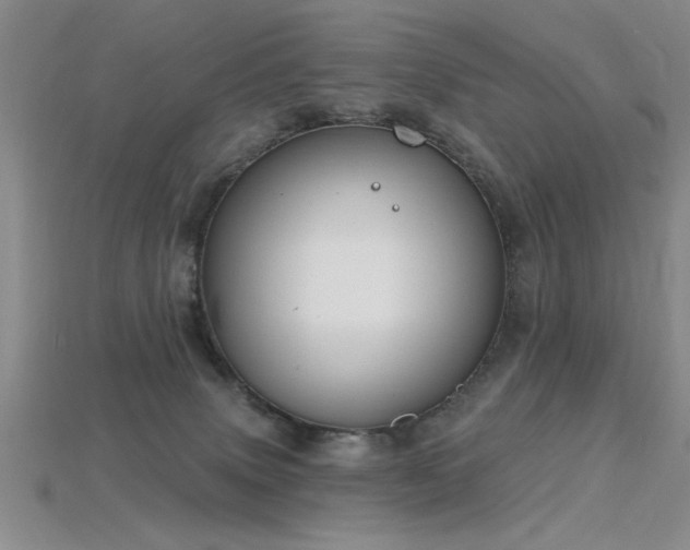 X0000115810083200911131429