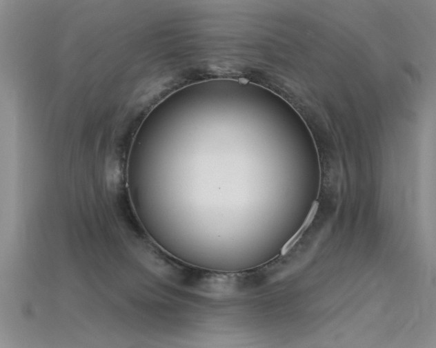 X0000115810084200911131429