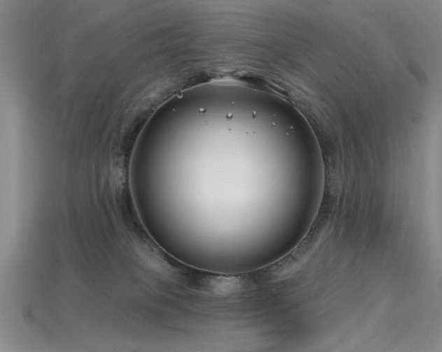 X0000115810085200911131429