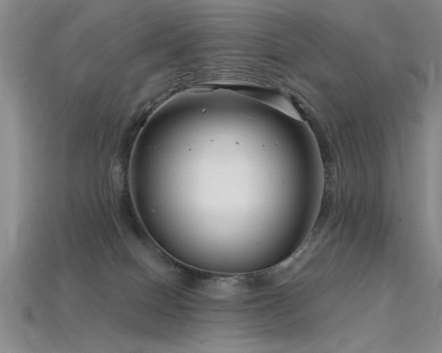 X0000115810086200911131429