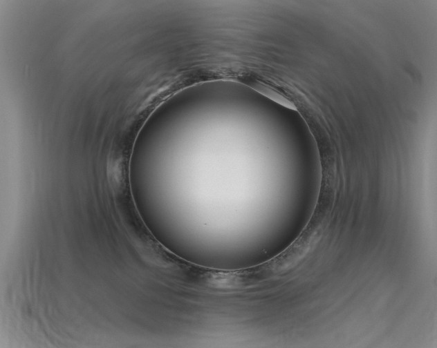 X0000115810088200911131429