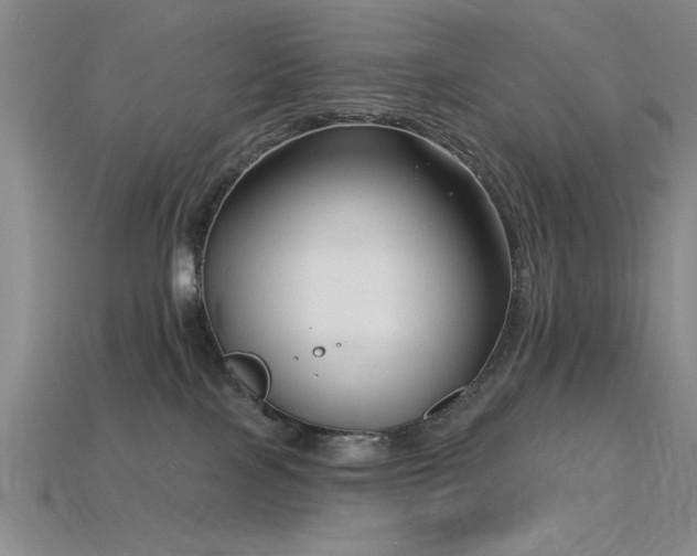X0000115810089200911131429