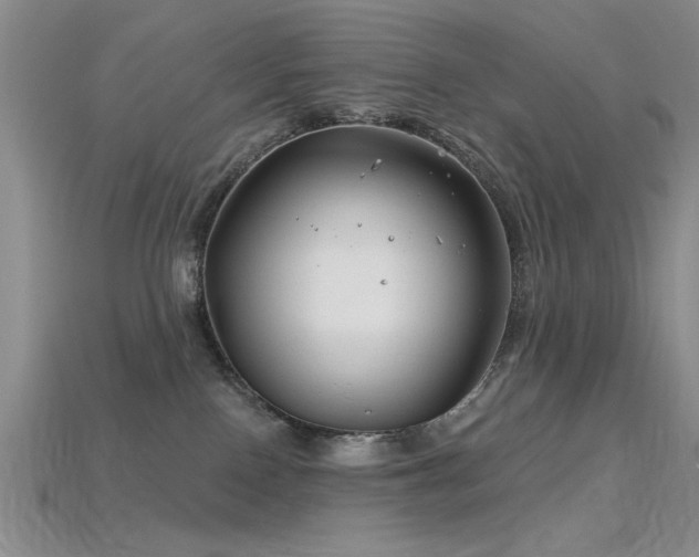 X0000115810090200911131429