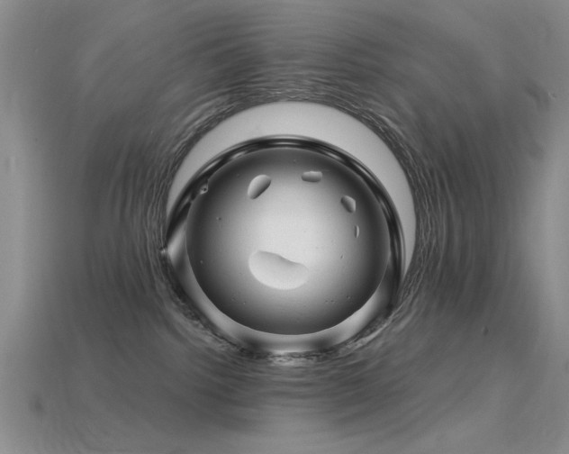 X0000115810092200911131429